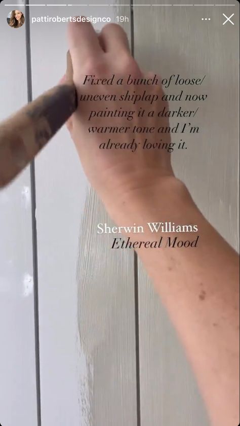 Etheral Mood Sherwin, Sensible Hue Sherwin Williams, Ethereal Mood Sherwin Williams, Sherwin Williams Ethereal Mood, Cabin Remodel, Rental Home Decor, Room Revamp, Craftsman Cottage, Paint Swatches