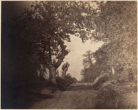 Gustave Le Gray, Gray Forest, Italian Street, Getty Museum, Photography Gifts, National Gallery Of Art, Photographic Studio, Art Institute Of Chicago, Historical Maps