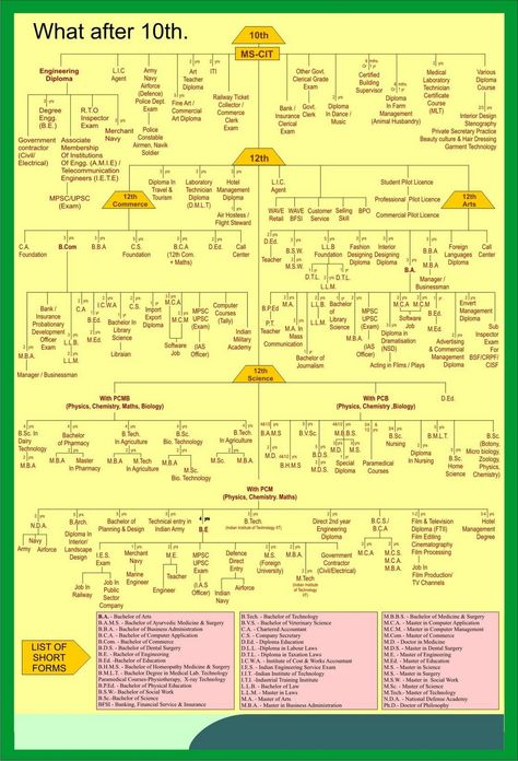 Career Chart, Mathematics Tricks, Ias Books, List Of Careers, Career Counselling, Homework Planner, World History Lessons, I Am Confused, Human Ear