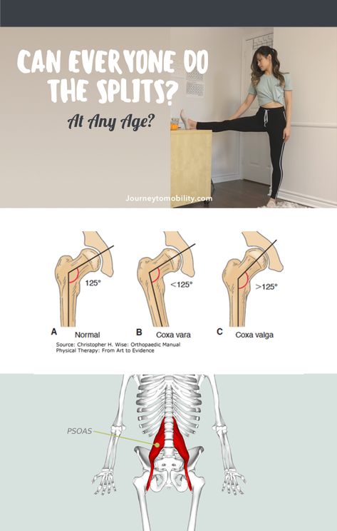 With consistent practice, most healthy adults can train and eventually learn how to do the splits. However, there are some structural differences that make it more optimal for some people to be training for the splits and less optimal for others.   In this post I'll be going over what those structural differences are and a simple test you can do at home to determine if you have the potential to get the splits. How To Train To Do The Splits, Learn How To Split For Beginners, Stretches To Do Splits, Learn How To Do A Split, Splits Training For Beginners, Splits For Non Flexible People, How To Do A Straddle, How To Middle Splits, Split Training Flexibility