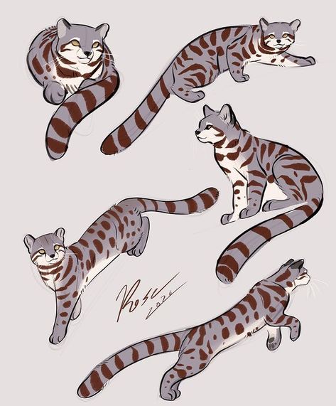 All Posts • Instagram Human Cat Drawing, Wild Cat Drawing, Wild Cat Species, Cat Anatomy, Warrior Cat Drawings, Big Cats Art, Warrior Cats Art, Cat Character, Zodiac Art