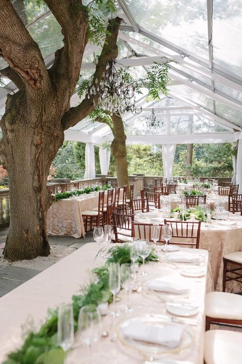 Asparagus Fern Wedding, Clear Tent Wedding Reception, Clear Tent Wedding, Graydon Hall Manor, Tent Wedding Reception, Fern Wedding, Clear Tent, Ontario Wedding, Asparagus Fern