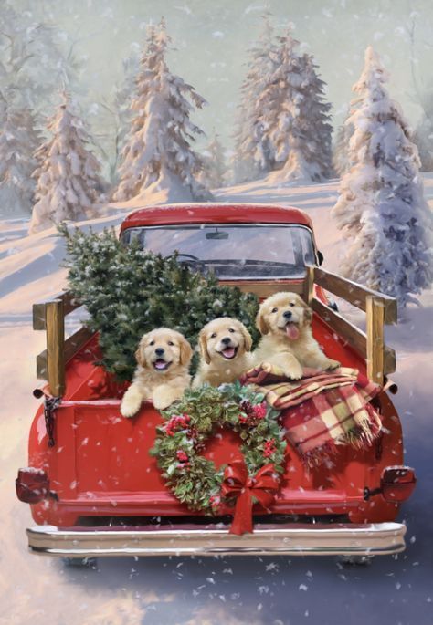 Natal Country, Winter Christmas Scenes, Merry Christmas Pictures, Christmas Red Truck, Christmas Scenery, Christmas Car, Christmas Puppy, Christmas Wonderland, Christmas Truck