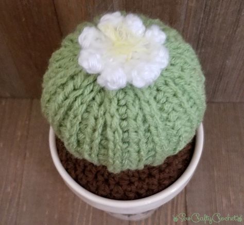 Crochet Flowering Cactus - Sew Crafty Crochet Crochet Cactus Free Pattern, Cactus Pin Cushion, Round Cactus, Flowering Cactus, Spring Planting, Dog Sweater Pattern, Pin Cushions Patterns, Crochet Cactus, Weaving Yarn