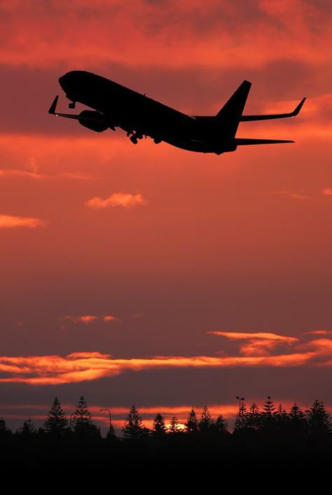 leaving on a jet plane Photo Avion, Plane Photography, Airplane Wallpaper, Aviation World, Airplane Photography, Night Flight, Jet Plane, Aircraft Pictures, Miyagi