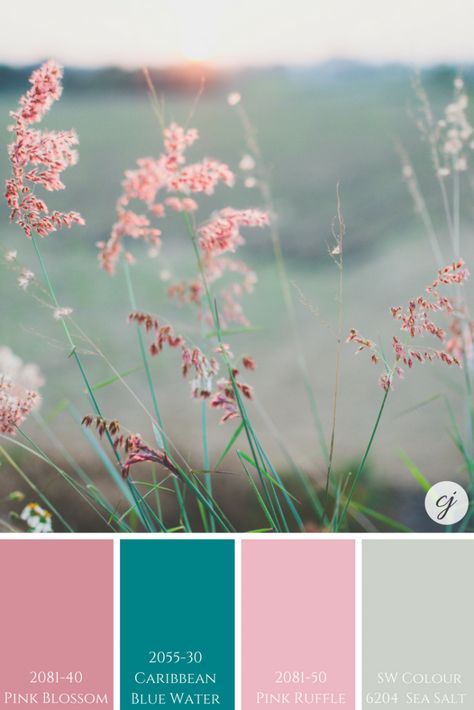 Sherwin Williams Sea Salt with Benjamin Moore's Pink Blossom; Caribbean Blue Water & Pink Ruffle Nature Inspired Paint Colors, Benjamin Moore Pink, Sw Sea Salt, Sea Salt Paint, Sherwin Williams Sea Salt, Sea Salt Sherwin Williams, Baby Room Inspiration, Rustic Nursery, Nature Color Palette