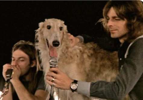 Pink Floyd Dogs, Pink Floyd Members, Pink Floyd Live, David Gilmour Pink Floyd, Richard Williams, Richard Wright, Some Beautiful Pictures, Roger Waters, David Gilmour