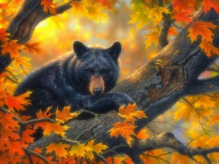 Bear Aesthetic Drawing, Bears Art, Black Bears Art, Bear Aesthetic, Bear Paintings, Black Bears, Bear Decor, Wildlife Paintings, Wildlife Artists