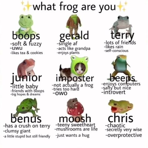 Frog Pictures, Tea Cookies, Funny Frogs, Cute Frog, Frog Art, Frog And Toad, Cute Frogs, What’s Going On, Having A Crush