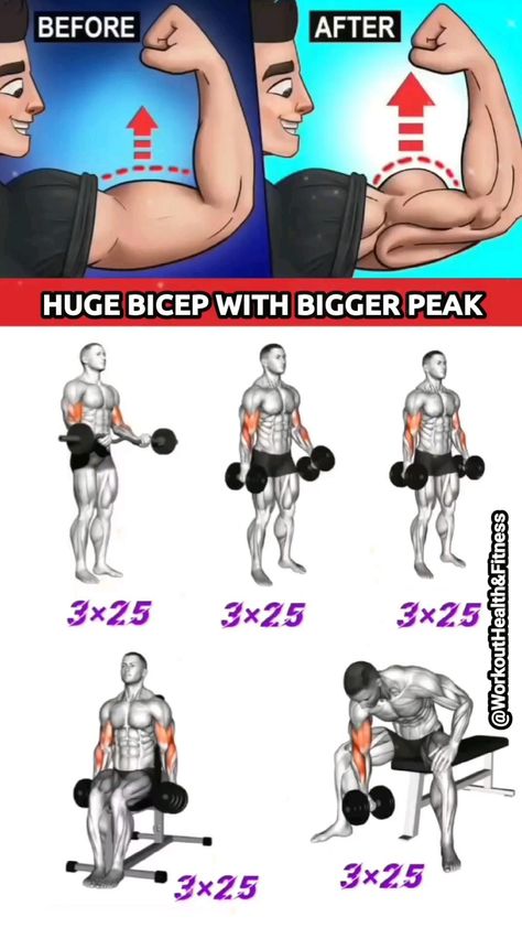 Тренировка С Гантелями Bicep Workout Gym, Big Biceps Workout, Gym Back Workout, Bigger Biceps, Back And Bicep Workout, Gym Workout Apps, Bicep And Tricep Workout, Bicep Workout, Workout Gym Routine