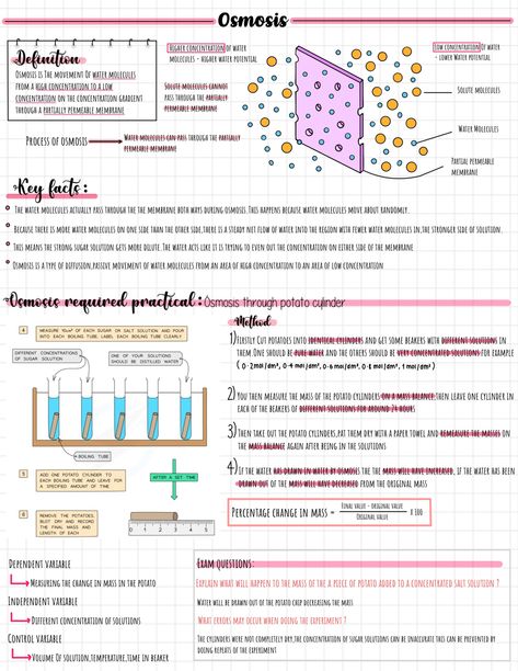 Notes science revision Bio Notes Example, Osmosis Revision Notes, Enzymes Biology Notes Gcse, Cell Physiology Notes, Ap Biology Unit 1, Biology Study Guide, Osmosis Notes, Biology Revision Gcse, Aesthetic Revision Notes