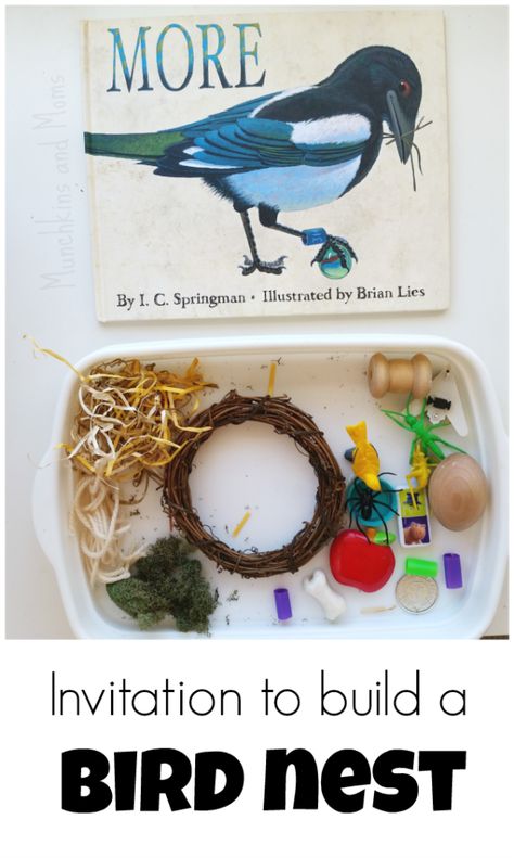 Invitation to Build a Bird Nest - Munchkins and Moms Build A Bird Nest, Bird In Flight, Spring Preschool, Invitation To Play, Bird Theme, Preschool Science, Spring Theme, Teaching Preschool, Spring Activities