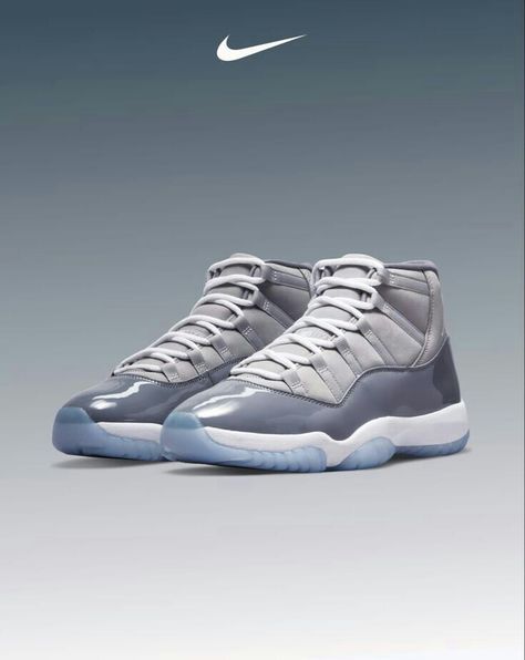 Jordan 11 Concord, Jordan 11s, Air Jordan Xi, Jordan Xi, Nike Air Jordan 11, Lion Images, Nike Force, Air Jordan 11, Male Fashion