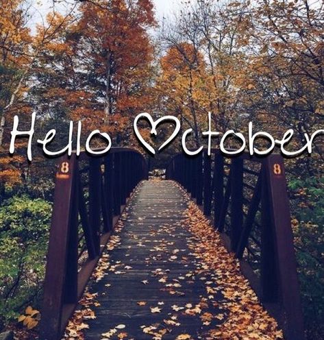 LoveThisPic offers Hello October pictures, photos & images, to be used on Facebook, Tumblr, Pinterest, Twitter and other websites. Hello October Images, October Images, October Pictures, September Quotes, Neuer Monat, New Month Quotes, October Quotes, October Wallpaper, Hello October