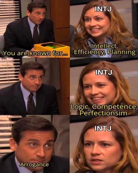 Intj Humor, Queen Of Shadows, Dungeons And Dragons Memes, Intj Personality, Dragon Memes, Mbti Character, You Meme, Michael Scott, Intp