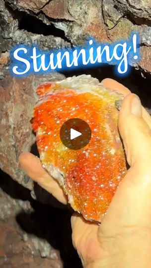 545K views · 12K reactions | 💥 ABSOLUTELY AMAZING VANADANITE CRYSTALS found digging in private area 100ft underground at the NORTH GERONIMO MINE owned by RED CLOUD MINE 💥 | The Crystal Collector | The Crystal Collector · Original audio Geode Decor, Cloud Mining, Red Cloud, Audio, Crystals, The Originals, Red