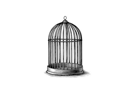 The cage to put Bellatrix in Bird Cage Sketch, Fine Line Bird Cage Tattoo, Bird Cage Tattoo Design, Open Cage Tattoo, Bird Cage Tattoos, Bird Cage Painting, Bird Cage Illustration, Sunflower Wrist Tattoo, Bird Cage Drawing