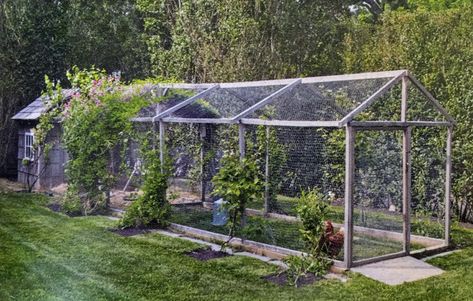 Chicken Coop Veggie Garden, Chicken Aviary, Garden Hoop House, Forest Greenhouse, Diy Chicken House, 2 Acre Homestead, Blueberry Garden, Garden Enclosure Ideas, Kitchen Garden Design