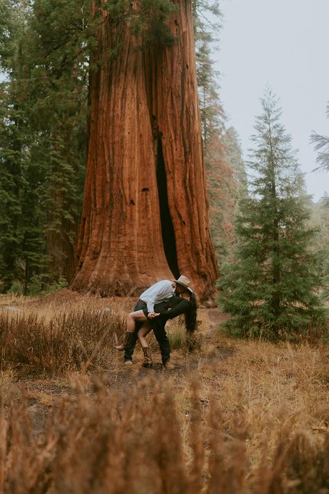 Capturing Love in the woods: A Sequoia National Park Engagement Photoshoot — Josh Mac Wedding & Boudoir Photographer Sequoia National Park Engagement Photos, Sequoia Engagement Photos, Sequoia Photo Ideas, Sequoia National Park Wedding, Sequoia National Park Photography, Daniel Boone National Forest, Forest Engagement Photos, Forest Engagement, National Parks Photography