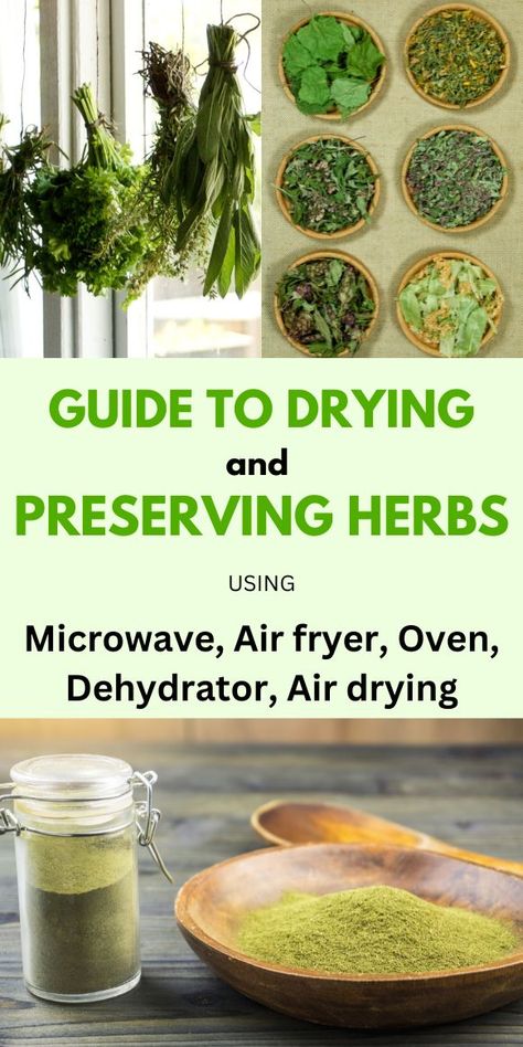 Learn how to dry and preserve herbs using microwaves, air friers, ovens, dehydrators, and air drying with this complete guide. Enjoy dried herbs with the best flavor when preserved fresh from the garden. Preserve Herbs, Dehydrating Food Storage, Drying Fresh Herbs, Herb Guide, Preserving Herbs, Herbal Remedies Recipes, Storing Fruit, Medicinal Herbs Garden, Harvesting Herbs