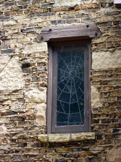 Spider Web Window Zook House Spider Web Window, Witch Cottage, Glass Objects, Goth Home, Window Ideas, Mosaic Ideas, Story Books, Spider Webs, Witch House