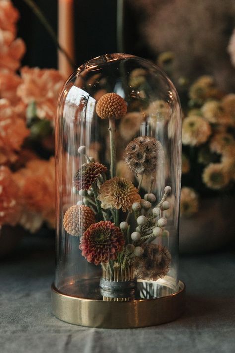 Dried Florals, Glass Dome, Dried Flowers, A Table, Glass, Flowers