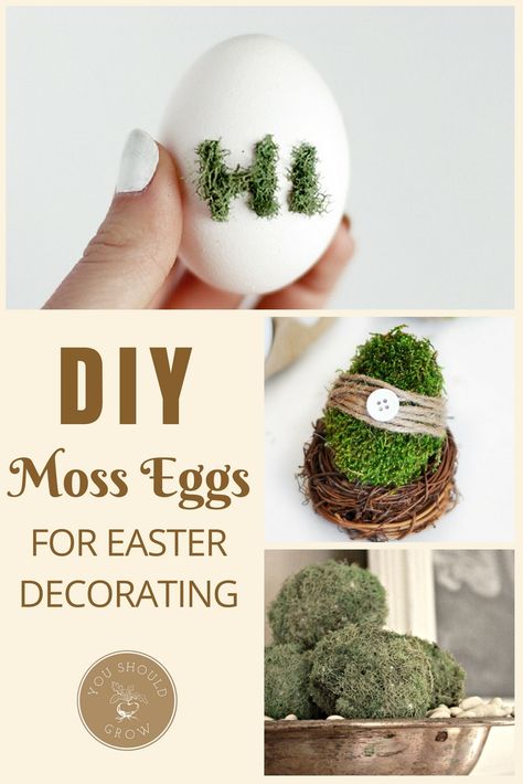 Easter Decor Ideas: make moss eggs! How cute! Moss Decor | Farmhouse Style Moss Decor Ideas, Diy Moss, Easter Decor Ideas, Spring Party Decorations, Diy Project Ideas, Moss Decor, Holiday Party Themes, Farmhouse Crafts, Holiday Party Games