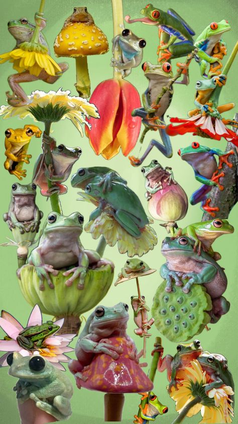 i love collages 10/10 recommend making a frog collage Frog Collage, Love Collage, A Frog, Frogs, I Love, Collage, Plants, 10 Things, Quick Saves