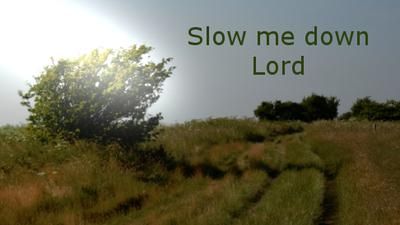 Slow me Down (c) SLGilmore: Slow me down Lord Ease the pounding of my heart By the quieting of my mind Steady my hurried pace With a vision of the eternal reach of time.  Give me Christian Meditation, Gods Girl, Spiritual Wellness, Mindfulness Meditation, Spiritual Journey, Spiritual Awakening, My Mind, Inspirational Words, Cool Words