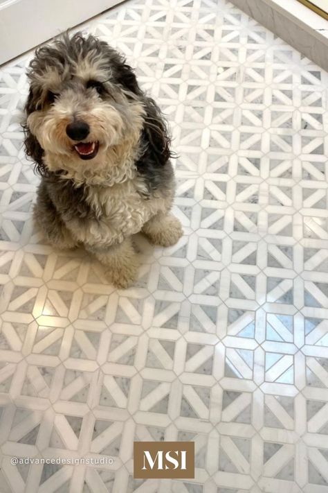 Filed under Bathrooms we Wuff! Advance Design Studio used Bianco Dolomite Geometrica Tile to create this contemporary bathroom. These gorgeous tiles are recommended for a wide range of design installations and are suitable to use as both backsplash tile and floor tile. Fun Powder Room Floor Tile, Fan Tiles Bathroom, Msi Tile Bathroom, Beautiful Bathroom Tile Ideas, Greek Key Tile Bathroom, Classic Tile Floor Kitchen, Small Bathroom Floor Tiles Ideas, Fun Laundry Room Tile Floor, Fun Bathroom Floor Tile Ideas