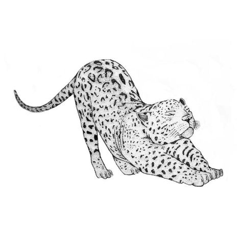 Good And Bad Side Tattoo, Tiger Sketch Tattoo, Jaguar Tattoo For Women, Leapord Tattoo, Leopard Coloring Pages, Tattoo Leopard, Cheetah Tattoo, Leopard Tattoo, Big Cat Tattoo