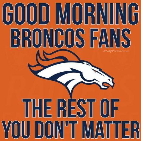 ❤️Nope you don't matter!❤️ Bronco Football, Broncos Wallpaper, Funny Football Pictures, Football Things, Broncos Pictures, Denver Broncos Baby, Denver Bronco, Denver Broncos Logo, Football Crafts