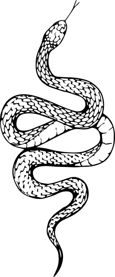 Snake Outline, Black Snake Tattoo, Small Snake Tattoo, Cobra Tattoo, Snake Coloring Pages, Snake Illustration, Snake Drawing, Snake Tattoo Design, Tattoo Templates