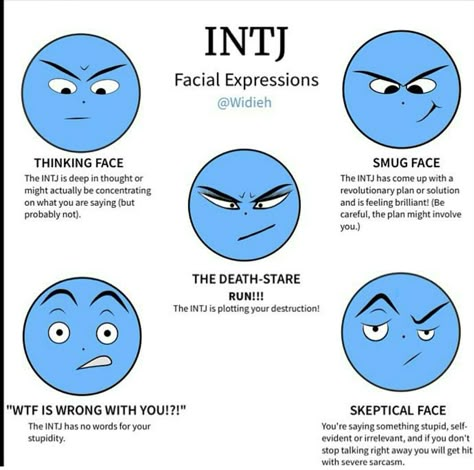 INTJ Facial Expressions. I rejected an INTJ who asked me out and it has been over three years now, yet every time I see him he has the smug face. It drives me mad, and I think that was the plan. Intj Emotions, Intj Funny, Smug Facial Expressions, Intj Faces, Smug Expression, Intj Stare, My Experience With Intj, Intj Things They Say, Intj And Sexuality