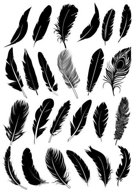 Feather Drawing, Feather Vector, Feather Tattoo Design, Feather Tattoo, Feather Crafts, Cover Up Tattoo, Feather Art, Feather Tattoos, Pinstriping