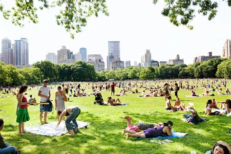 12 Secrets of New York's Central Park      |     Travel | Smithsonian Future Green City, Riverfront Design, Friends In Nyc, Nyc Landmarks, I Heart Ny, Film Club, Fiction Story, Meet New Friends, Park In New York