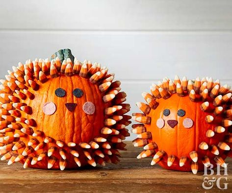 Try these easy no-carve pumpkin decorating ideas to avoid injuries and create perfect pumpkins without carving. These easy pumpkin designs will have the whole family NOT carving this year. Easy Pumpkin Designs, Pineapple Pumpkin, Pumpkins Decorated, Decorating Pumpkins, Decoupage Pumpkins, Halloween Infantil, Pumpkin Decorating Contest, No Carve Pumpkin Decorating, Pumpkin Candy Corn