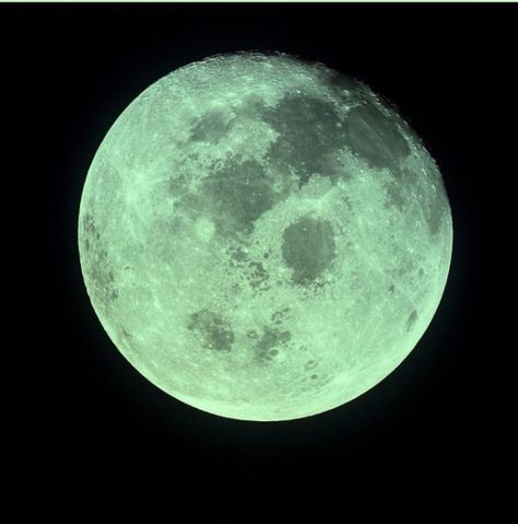 Back To The Moon, Full Moon Rising, Green Moon, Moon Missions, Moon Photos, Look At The Moon, Moon Pictures, Black Moon, Room Redo