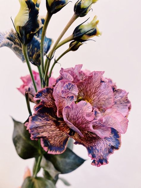 Flowers Blooming Aesthetic, Flower Mood Board, Floral Photography Nature, Flower Portfolio, Bloom Aesthetic, Flower Combinations, Purple Foliage, Dyed Flowers, Botanical Photography