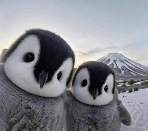 @jdinor on Tumblr Me And My Best Friend, Cartoon Faces Drawing, Penguin Love, Cute Small Animals, Baby Penguins, Cute Animals Images, Cute Wild Animals, Cute Penguins, Cute Animal Photos