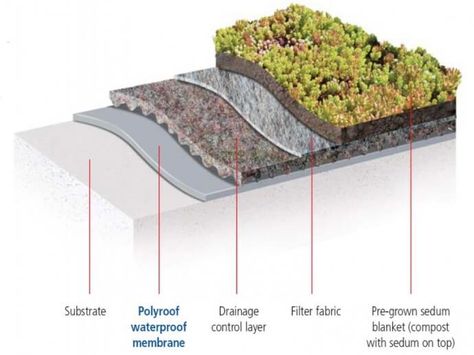 Image below shows an extensive green roof section (sedum finish) low maintenance. Description from tuff-roofing.co.uk. I searched for this on bing.com/images Green Roof Section, Roof Section, Green Roof Design, Extensive Green Roof, Brown Roofs, Green Roof Building, Sedum Roof, Landscape Architecture Graphics, Plan Elevation