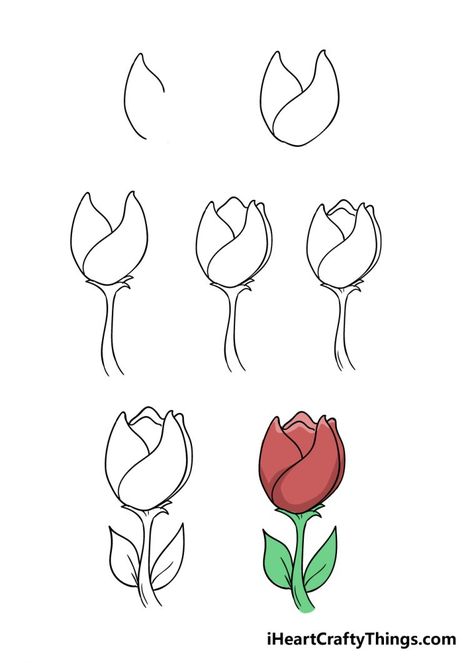 Tulip Drawing - How To Draw A Tulip Step By Step Cute Tulips Drawing, Draw A Tulip, Cute Tulips, Expensive Art Supplies, Tulip Drawing, Drawing Ideas Easy, Drawing Step By Step, Animal Rabbit, Most Popular Flowers