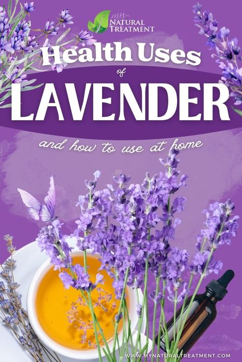 7 Health Uses of Lavender with Remedies #lavenderuses #lavenderbenefits #lavender #healthuses #lavenderhealthuses #lavenderhealthbenefits #healthbenefits #healthbenefits Lavender Health Benefits, Benefits Of Lavender, Healing Flowers, Lavender Uses, Miraculous Healing, Lavender Benefits, Natural Treatments, Healing Powers, Care Tips