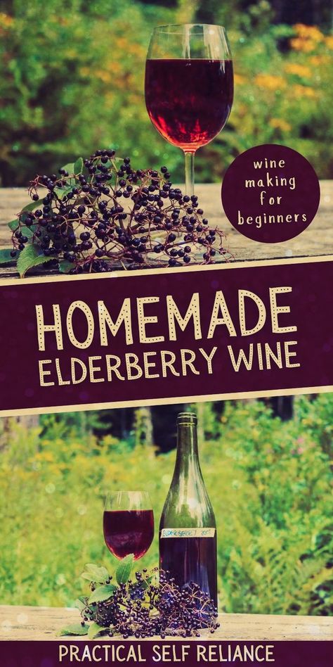 Foraging Elderberries, Growing Elderberries, Fruit Wine Recipes, Elderberry Uses, Elderflower Recipes, Wine Making Recipes, Homemade Wine Recipes, Elderberry Wine, Creative Drinks