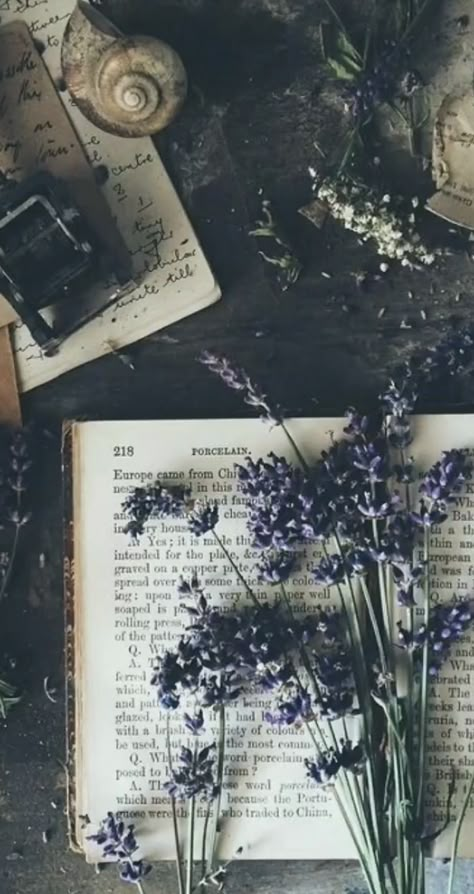 Alyssacore Aesthetic, Old Diary, S Aesthetic, Book Flowers, Book Wallpaper, Online Group, Fantasy Aesthetic, + Core + Aesthetic, Pretty Wallpapers Backgrounds