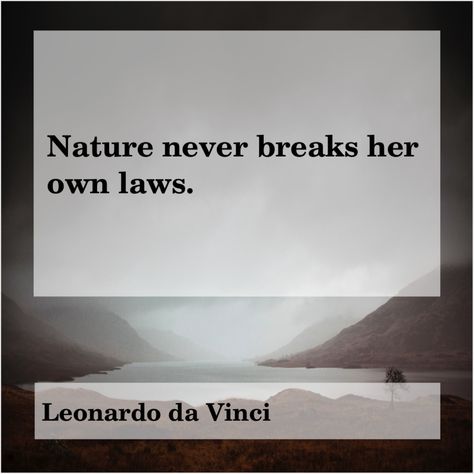 Leonardo Da Vinci Quotes, Life Map, Fantastic Quotes, World Quotes, Artist Quotes, Quotable Quotes, Woman Quotes, Thought Provoking, Wisdom Quotes