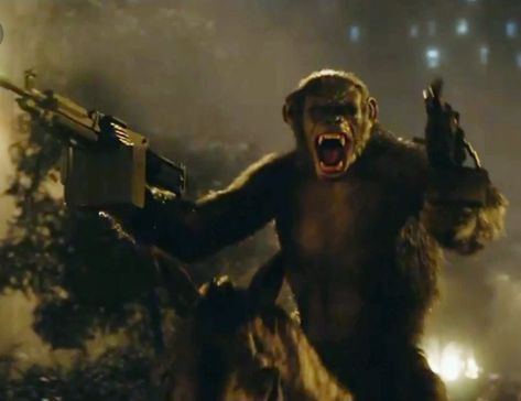 Man Ape, Plant Of The Apes, Toby Kebbell, Dawn Of The Planet, Lion Images, Planet Of The Apes, Cool Wallpapers Cartoon, 20th Century Fox, Manado