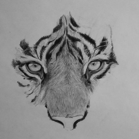 Tiger Pen Drawing, Pencil Animal Sketches, Black And White Tiger Drawing, Tiger Charcoal Drawing, Black And White Animal Painting, Animal Portraits Art Drawings, Asthetic Drawings Pencil, Tiger Drawing Pencil, Pencil Art Drawings Animals