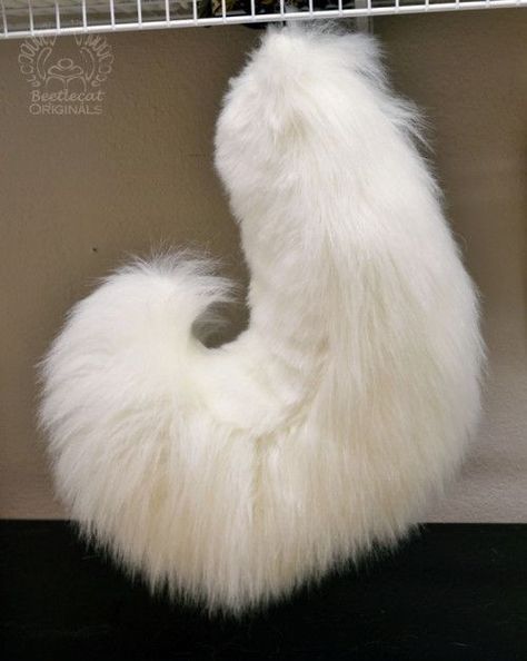 White Malamute, Wolf Ears And Tail, Malamute Husky, Cat Ears And Tail, Animal Tails, Ears And Tail, Havanese Puppies, Pet Play, Puppy Play