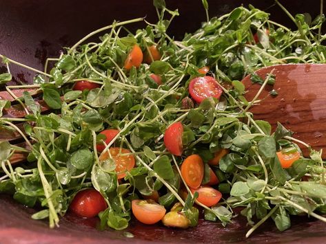 Pea Tendril Salad with Honey Lemon Dressing - Sea Salt and Sailor Stripes Pea Tendril Salad, Pea Tendrils, Sweet Dressing, Pistachios Nuts, Sailor Stripes, Chipotle Pepper, Honey Lemon, Sweet Cherries, Dinner Salads